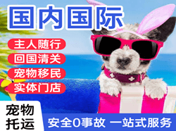 黔南荔波航空邮寄国际宠物托运 【国